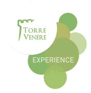 experience.torrevenere.it